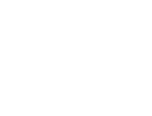 Haus of Pfaff Premium-Immobilien in Wiesloch und der gesamten Rhein-Neckar-Region.